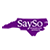 SAYSO Logo