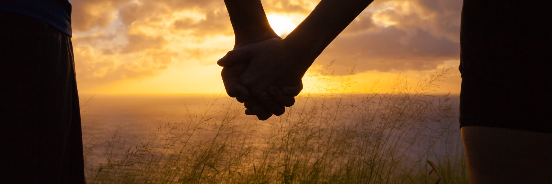 Couple holding hands looking at the sunset